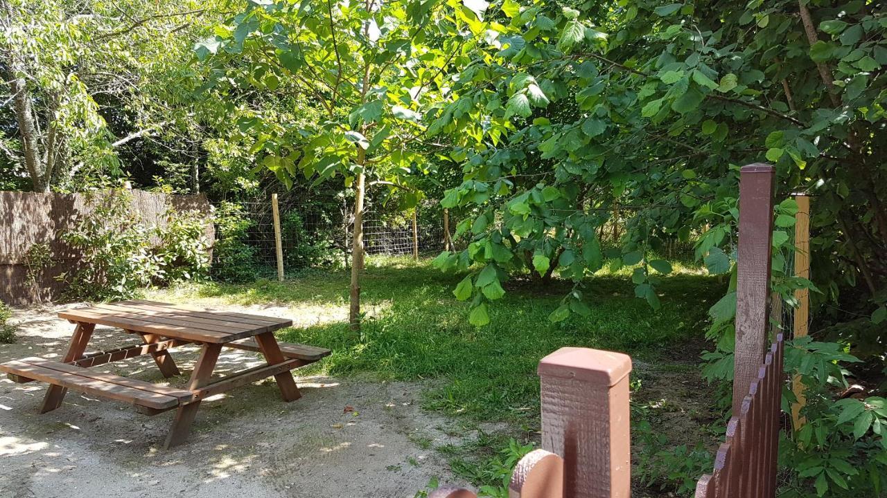 Gites & Spa De Charme " Ploum" Pouydesseaux Exteriör bild