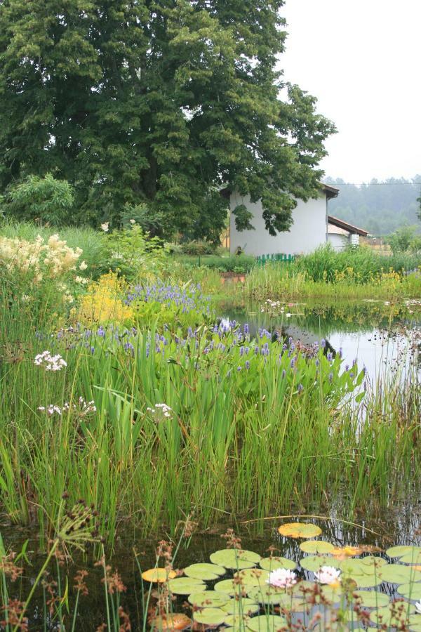 Gites & Spa De Charme " Ploum" Pouydesseaux Exteriör bild